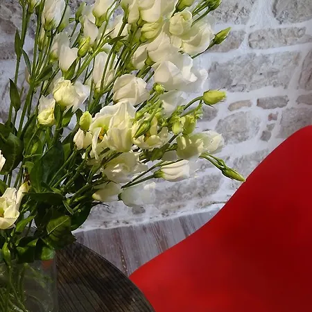 Artizan Liston 公寓