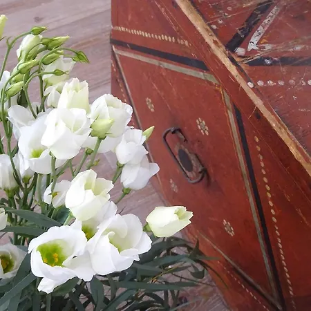 Artizan Liston * Corfu (city)